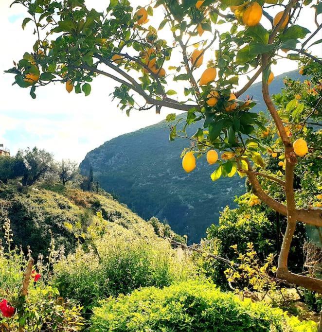 Philoxenia Guest Apartment Himare